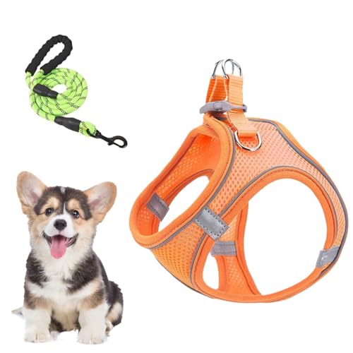 Hundegeschirr Mit Leinen, Geschir Und Leinen Für Mittelgroße Hunde, Atmungsaktives Reflektierendes Welpen Katzen Geschirrs Für Training Auto Reisen Wandern von Jlobnyiun