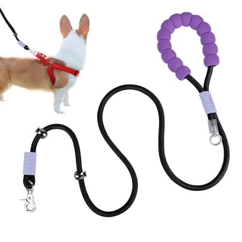 Hundeleine aus Seil, große Leine für Hunde, Kette aus Nylon für Hunde, Kette für Hunde, 2 m, robuste Laufkette mit gepolstertem Griff für Hunde Hundeleine aus Seil, große Leine für Hunde, Kette aus Nylon für Hunde, Kette für Hunde, 2 m, robuste Laufkette mit gepolstertem Griff für Hunde von Jlobnyiun