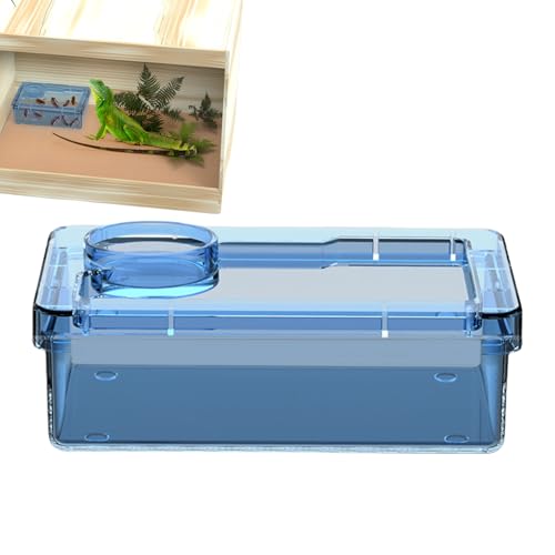 Jlobnyiun Futterstation für Chamäleons | Wasserschüssel, Schildkrötenschutz, Terrarium-Zubehör für Futter , , Gecko, Spinne Jlobnyiun Futterstation für Chamäleons | Wasserschüssel, Schildkrötenschutz, Terrarium-Zubehör für Futter , , Gecko, Spinne von Jlobnyiun