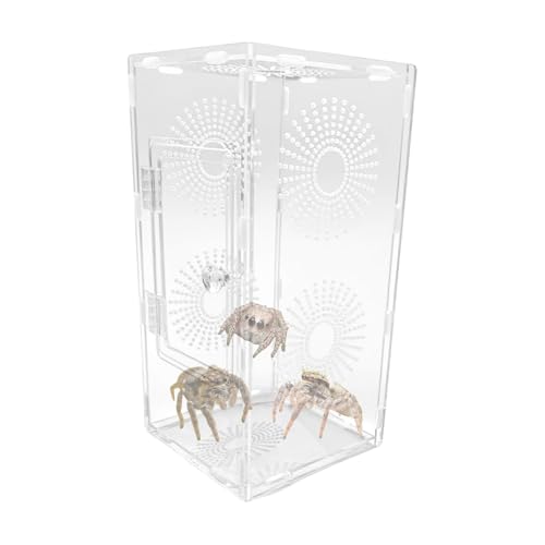 Jlobnyiun Springende Spinnengehege, Acryl-Springspinnen-Froschgehege – sicher, atmungsaktiv, einfache Beobachtung, Terrarium für Kinder, , Mädchen, Teenager, Familie, Genuss Jlobnyiun Springende Spinnengehege, Acryl-Springspinnen-Froschgehege – sicher, atmungsaktiv, einfache Beobachtung, Terrarium für Kinder, , Mädchen, Teenager, Familie, Genuss von Jlobnyiun