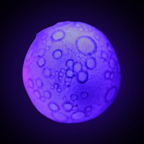 LED Dog Ball - Motion Light Up Pet Ball, blinkendes Soundspielzeug, intelligenter Hundespielzeug, für aktives Spiel, interaktives Hundespielzeug für Welpen u von Jlobnyiun