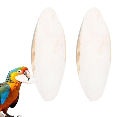 Sepiaschale Für Vögel | 2 Stück Vogelschnecke | 15-20 cm Wellensittich Schnabelwetzstein Für Reptilien Kanarienvögel Nymphensittiche von Jlobnyiun