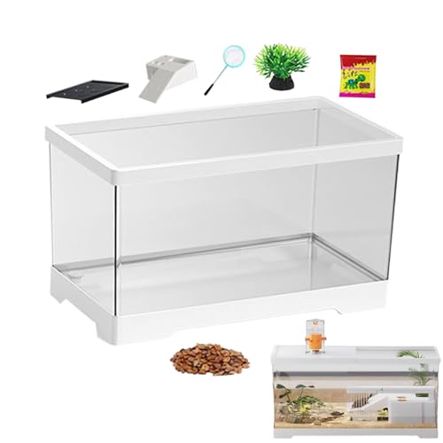Turtle Tank - Turtle Habitat Box, Reptilien -Terrarium -Kit | Acrylschildkröteaquarium Mit Backenplattform, Reptilien -Plastik -Terrarium -Set, Reptilienwachstumsbox Für Schildkröte Einsiedler Fisch S Turtle Tank - Turtle Habitat Box, Reptilien -Terrarium -Kit | Acrylschildkröteaquarium Mit Backenplattform, Reptilien -Plastik -Terrarium -Set, Reptilienwachstumsbox Für Schildkröte Einsiedler Fisch S von Jlobnyiun