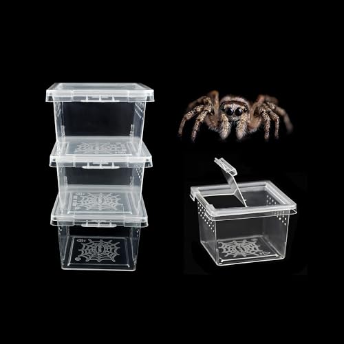 Joayuezo 10 Stück Reptilien-Futterbox für Reptilien tragbar Zuchtbox für Bartagen, für Reptilien, Skorpion, Tausendfüßler, Acryl, Zuchtbox (S) von Joayuezo