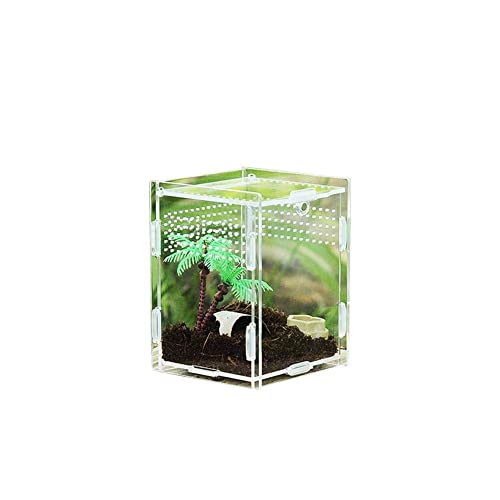 Reptilienzuchtbox Acryl Reptilienbox Transparente Tragbarer Reptilienzuchtbox Reptilien Zuchtbox für Spinnen Skorpione Gehörnte Frösche Käfer Faunarium von Joayuezo