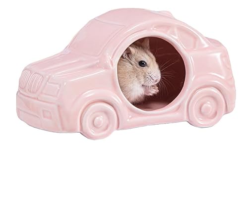 Joayuezo Hamster Keramik Futterschalen Keramikhaus für Hamster Kühles Bett für den Sommer per Chinchilla, Ratte, Mäuse, Rennmäuse (Car Pink) von Joayuezo