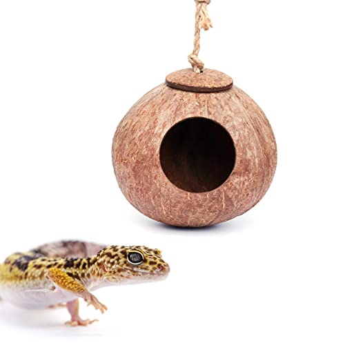 Joayuezo Kokosnussschale Gecko-Nesthaus Reptilien-Verstecke Gecko Kokosnussschalenhütte für Leopard Gecko, Reptilien, Amphibien und Kleintiere (L,Style A Without Ladder) von Joayuezo