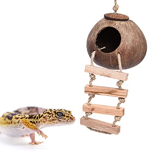 Joayuezo Kokosnussschale Gecko-Nesthaus Reptilien-Verstecke Gecko Kokosnussschalenhütte für Leopard Gecko, Reptilien, Amphibien und Kleintiere (L,Style A with Ladder) von Joayuezo