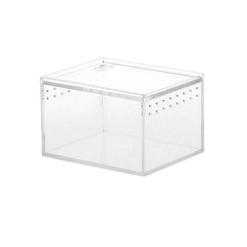 Joayuezo Reptilienzuchtbox Acryl Reptilienbox Transparente Tragbarer Reptilien Zuchtbox Reptil Zuchtfall Für Spide, Eidechse, Skorpion, Tausendfüßler, Gehörnter Frosch, Käfer, Mehrfachgröße (S) von Joayuezo