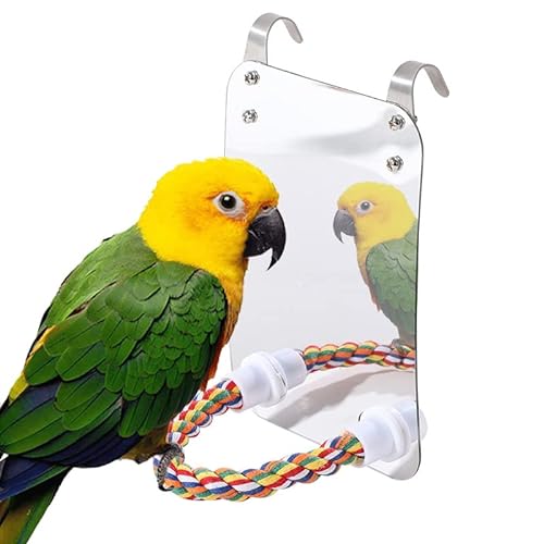 Vogelständer mit großem Spiegel für Papageien, Käfigzubehör Papagei Spielzeug mit Seil Barsch Sitzstange Papageienklaue Vogelkäfig Barsche Spiegel Kauspielzeug (L) von Joayuezo