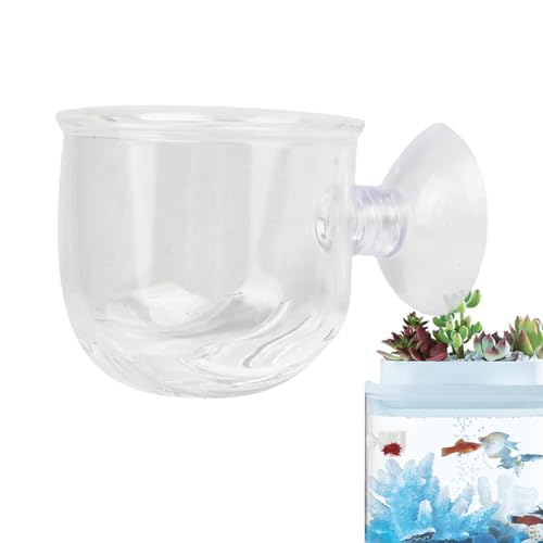 Aquarium Glass Feeding Cone Cup, Fish Feeding Cup with Suction Cup, Plant Cup, Brine Shrimp Live Red Worm Fish Feeder for Aquariums, Strong Suction Aquarium Plant Pot Holder, Fish Tank Feeder Aquarium Glass Feeding Cone Cup, Fish Feeding Cup with Suction Cup, Plant Cup, Brine Shrimp Live Red Worm Fish Feeder for Aquariums, Strong Suction Aquarium Plant Pot Holder, Fish Tank Feeder von Joberio