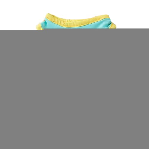 Hunde-Shirt, Sommer-Shirt, bedrucktes Welpen-Shirt mit Buchstaben, Sommer-Strand-Hundebekleidung, Katzen-Outfit-Shirt, atmungsaktive Haustier-Kleidung, Hunde-Sweatshirt, Kühlweste für Katzen, Hunde von Joberio
