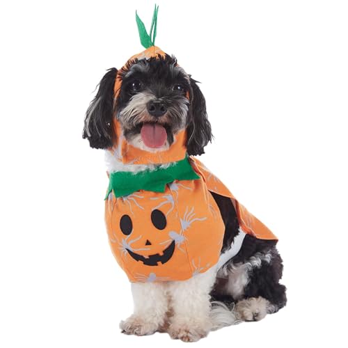 -Hundekostüm – Hunde-Halloween-Outfit | Katzenkleidung Kürbiskostüm | Lustige Hundekleidung | Katzenbekleidung Haustierkostüme | Halloween-Kostüm Cosplay-Outfit Für Kleine Hunde Und Katzen -Hundekostüm – Hunde-Halloween-Outfit | Katzenkleidung Kürbiskostüm | Lustige Hundekleidung | Katzenbekleidung Haustierkostüme | Halloween-Kostüm Cosplay-Outfit Für Kleine Hunde Und Katzen von Joberio