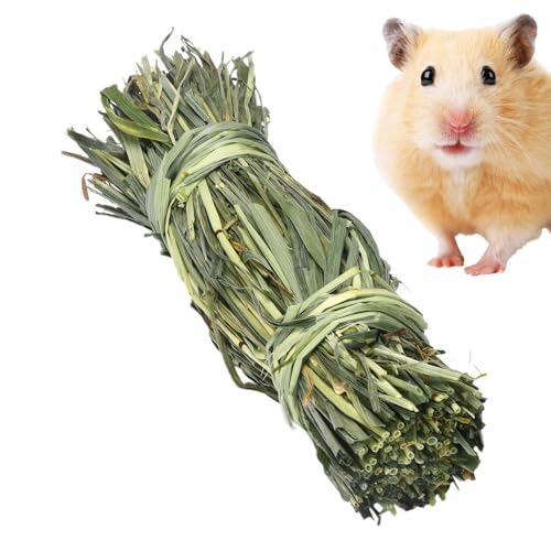 Kaninchenspielzeug, Kaninchen-Leckerlis Meerschweinchenspielzeug, bissfeste Kleintier-Leckerlis, Hamstergrasballen, Nagespaß für Kaninchen, Eichhörnchen, Hamster, Chinchilla, Meerschweinchen von Joberio