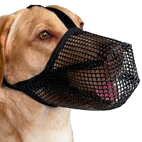 Maulkorb für große Hunde,Maulkörbe mit weichem Netzbezug und verstellbaren Trägern | Atmungsaktive Maulkörbe zum Beißen, Kauen, Hundemaulkörbe für kleine mittelgroße Hunde Joberio Maulkorb für große Hunde,Maulkörbe mit weichem Netzbezug und verstellbaren Trägern | Atmungsaktive Maulkörbe zum Beißen, Kauen, Hundemaulkörbe für kleine mittelgroße Hunde Joberio von Joberio