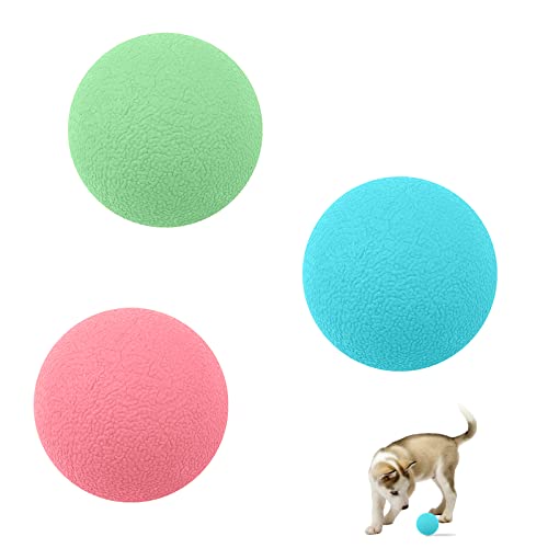 3 Stück Hundeball Spielzeug 4cm Gummi Hundespielzeug Ball Unzerstörbares Hundespielzeug Kauspielzeug Elastische Toss Ballspielzeug für Hund Welpen Katzen Interaktives Hundespielzeug für Training von Jodsen