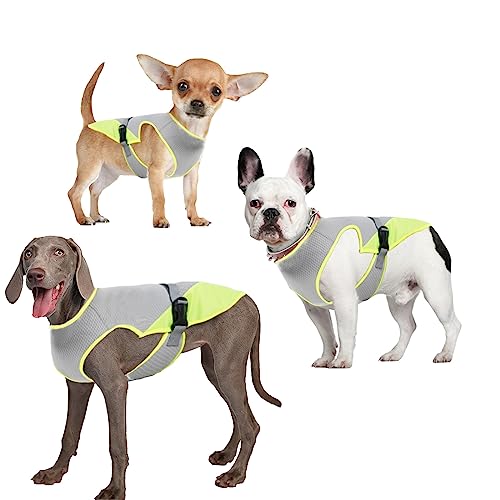 Hundekühlweste,Haustier Kühlweste,Atmungsaktives Mesh Hundejacke für mittlere und große Hunderassen,Verstellbare Hund Kühlweste Blau für Aktivitäten draußen, Wandern,Training (Grau-XL) von Jodsen