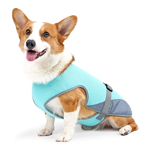 Hundekühlweste,Haustier Kühlweste,Atmungsaktives Mesh Hundejacke für mittlere und große Hunderassen,Verstellbare Hund Kühlweste Blau für Aktivitäten draußen, Wandern,Training (Blau-L) von Jodsen