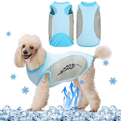 Hundekühlweste,Sommer Cool und Bequem Hundemantel Atmungsaktiv Mesh Hundejacke mit Reflektorstreifen,Leichte Hunde-EIS-Kühlung T-Shirts für kleine bis mittelgroße Hunde (XL, Blau) von Jodsen