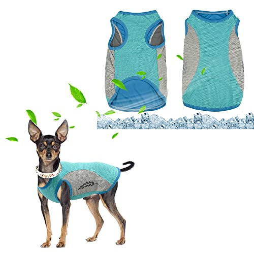 Hundekühlweste,Sommer Cool und Bequem Hundemantel Atmungsaktiv Mesh Hundejacke mit Reflektorstreifen,Leichte Hunde-EIS-Kühlung T-Shirts für kleine bis mittelgroße Hunde (Green, L) von Jodsen