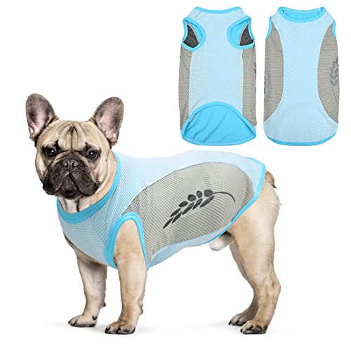 Hundekühlweste,Sommer Cool und Bequem Hundemantel Atmungsaktiv Mesh Hundejacke mit Reflektorstreifen,Leichte Hunde-EIS-Kühlung T-Shirts für kleine bis mittelgroße Hunde (L, Blau) von Jodsen