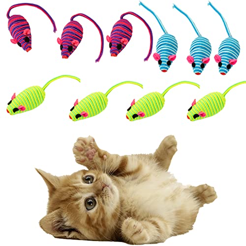 Jodsen Katzenspielzeug Selbstbeschäftigung, 10 Stück Katzen Spielzeug Mausspielzeug zum Zähneputzen, Spielen, Kauen, Training, Katzenspielzeug Maus für Katzen Erwachsene (Zufällige Farbe) von Jodsen