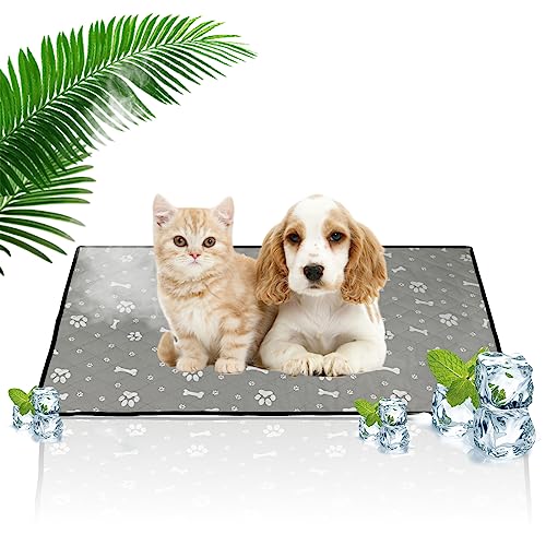 Kühlmatte für Hunde Katzen Haustiere Kühldecke Hunde Hundebett Selbstkühlende Hundedecke Kühlbett,Waschbar Kühlpad Kühlkissen Grosse Kleine Hunde Hält Haustiere im Heißen Sommer Kühl,50x35cm Kühlmatte für Hunde Katzen Haustiere Kühldecke Hunde Hundebett Selbstkühlende Hundedecke Kühlbett,Waschbar Kühlpad Kühlkissen Grosse Kleine Hunde Hält Haustiere im Heißen Sommer Kühl,50x35cm von Jodsen