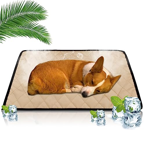 Kühlmatte für Hunde Katzen Haustiere Kühldecke Hunde Hundebett Selbstkühlende Hundedecke Kühlbett,Waschbar Kühlpad Kühlkissen Grosse Kleine Hunde Hält Haustiere im Heißen Sommer Kühl,90x50cm Kühlmatte für Hunde Katzen Haustiere Kühldecke Hunde Hundebett Selbstkühlende Hundedecke Kühlbett,Waschbar Kühlpad Kühlkissen Grosse Kleine Hunde Hält Haustiere im Heißen Sommer Kühl,90x50cm von Jodsen