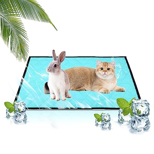 Kühlmatte für Hunde Katzen Haustiere Kühldecke Hunde Hundebett Selbstkühlende Hundedecke Kühlbett,Waschbar Kühlpad Kühlkissen Grosse Kleine Hunde Hält Haustiere im Heißen Sommer Kühl,50x35cm Kühlmatte für Hunde Katzen Haustiere Kühldecke Hunde Hundebett Selbstkühlende Hundedecke Kühlbett,Waschbar Kühlpad Kühlkissen Grosse Kleine Hunde Hält Haustiere im Heißen Sommer Kühl,50x35cm von Jodsen
