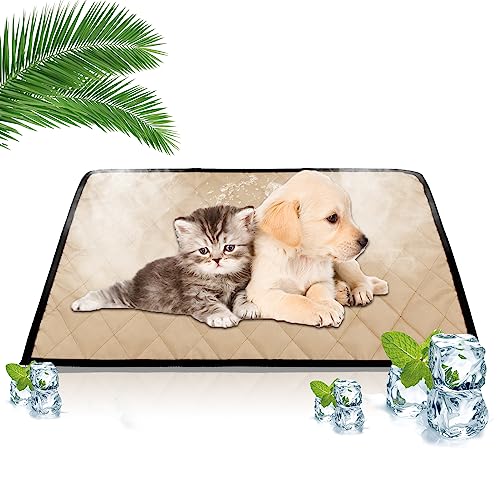 Kühlmatte für Hunde Katzen Haustiere Kühldecke Hunde Hundebett Selbstkühlende Hundedecke Kühlbett,Waschbar Kühlpad Kühlkissen Grosse Kleine Hunde Hält Haustiere im Heißen Sommer Kühl,50x35cm Kühlmatte für Hunde Katzen Haustiere Kühldecke Hunde Hundebett Selbstkühlende Hundedecke Kühlbett,Waschbar Kühlpad Kühlkissen Grosse Kleine Hunde Hält Haustiere im Heißen Sommer Kühl,50x35cm von Jodsen