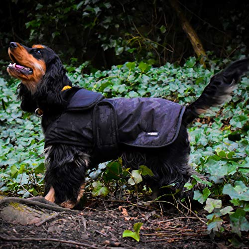 John Whitaker Sydney Reflective Dog Jacket X Small Black von John Whitaker