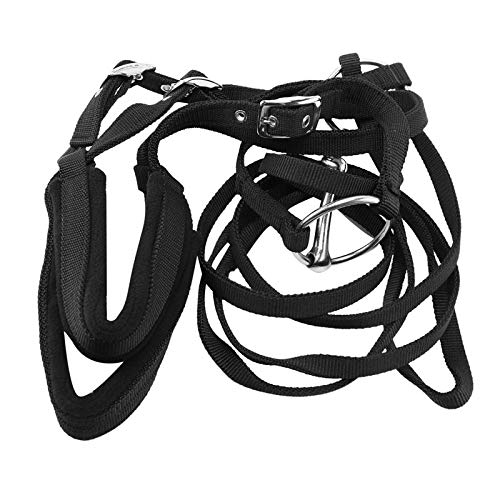 Jojomino Verstellbare Ausrüstung Halfter Pferdehalfter mit Gebiss und Zügelgurt für Pferde-Reitzubehör weich von Jojomino