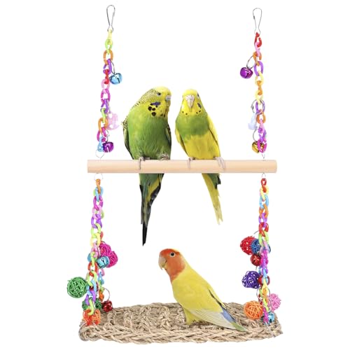 2 in 1 Doppelvogel -Schwung Spielzeug Zinsen doppeltes Papagei Swing -Spielzeug einfach zu hängen Vogelklettern Hängematte für Vogelkäfig bequem(Farbe) von Jokapy