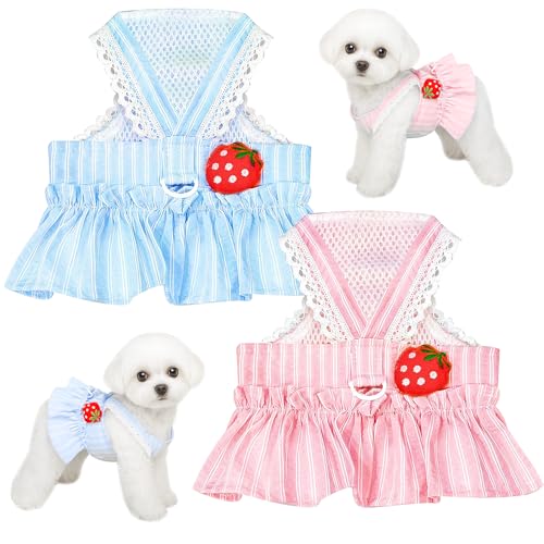 2-teiliges Hunde-Sommerkleid-Set, weiche Netzweste für Spaziergänge, niedliche Hundekleidung, Haustier-Sommerkleidung, atmungsaktiver Welpen-Brustgurt für kleine und mittelgroße Hunde 2-teiliges Hunde-Sommerkleid-Set, weiche Netzweste für Spaziergänge, niedliche Hundekleidung, Haustier-Sommerkleidung, atmungsaktiver Welpen-Brustgurt für kleine und mittelgroße Hunde von Jokureao