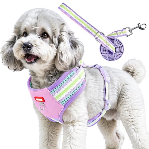 2-teiliges Hundegeschirr-Set, bequem, kein Ziehen, verstellbar, atmungsaktiv, Haustierweste mit Leine, ausbruchsicher, Hundegeschirr für Training und Spazierengehen 2-teiliges Hundegeschirr-Set, bequem, kein Ziehen, verstellbar, atmungsaktiv, Haustierweste mit Leine, ausbruchsicher, Hundegeschirr für Training und Spazierengehen von Jokureao