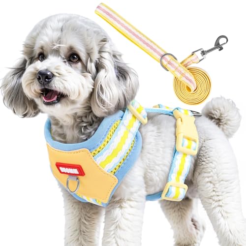 2-teiliges Hundegeschirr-Set, bequem, kein Ziehen, verstellbar, atmungsaktiv, Haustierweste mit Leine, ausbruchsicher, Hundegeschirr für Training und Spazierengehen 2-teiliges Hundegeschirr-Set, bequem, kein Ziehen, verstellbar, atmungsaktiv, Haustierweste mit Leine, ausbruchsicher, Hundegeschirr für Training und Spazierengehen von Jokureao