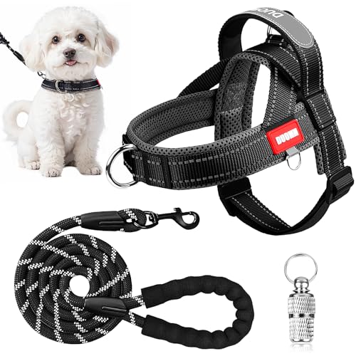Hundegeschirr und Leine, kein Ziehen, verstellbar, reflektierend, für kleine, mittelgroße und große Hunde, atmungsaktiv, weich gepolstert, ausbruchsicher, Geschirr für Spaziergangstraining Hundegeschirr und Leine, kein Ziehen, verstellbar, reflektierend, für kleine, mittelgroße und große Hunde, atmungsaktiv, weich gepolstert, ausbruchsicher, Geschirr für Spaziergangstraining von Jokureao