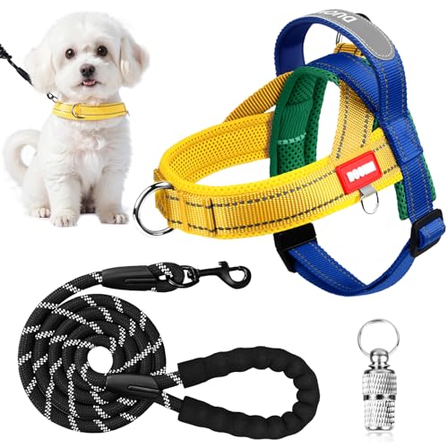 Hundegeschirr und Leine, kein Ziehen, verstellbar, reflektierend, für kleine, mittelgroße und große Hunde, atmungsaktiv, weich gepolstert, ausbruchsicher, Geschirr für Spaziergangstraining Hundegeschirr und Leine, kein Ziehen, verstellbar, reflektierend, für kleine, mittelgroße und große Hunde, atmungsaktiv, weich gepolstert, ausbruchsicher, Geschirr für Spaziergangstraining von Jokureao