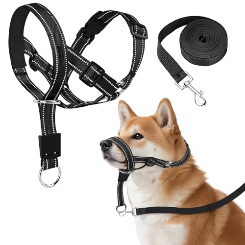 Hundehalsband, kein Ziehen, verstellbares und reflektierendes Halfter mit 120 cm Leine für kleine, mittelgroße und große Hunde, bequem, sicher für Zuhause im Freien von Jokureao