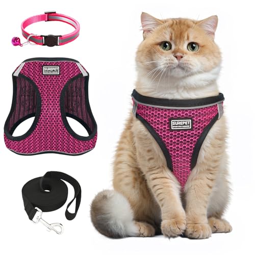 Katzengeschirr und Leine, verstellbar, reflektierend, weich, atmungsaktiv, Netzweste, Halsband mit Glocke, ausbruchsicher, bequem, leicht, für kleine, mittelgroße Katzen, Hunde, Haustiere, 3-teilig Katzengeschirr und Leine, verstellbar, reflektierend, weich, atmungsaktiv, Netzweste, Halsband mit Glocke, ausbruchsicher, bequem, leicht, für kleine, mittelgroße Katzen, Hunde, Haustiere, 3-teilig von Jokureao