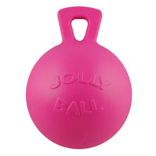 Jolly Ball Horsemen 's Pride 25,4 cm Pferd Bubble Gum Duft, Rose von Jolly Pets