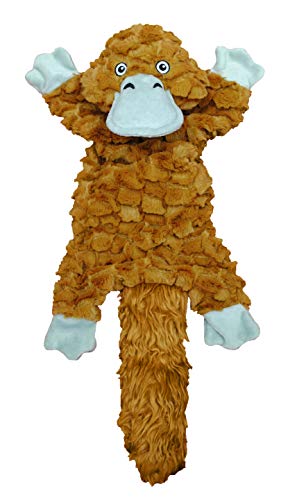 Jolly Pet Fat Tail Small Platypus, Tug and Toss Toy for Dogs von Jolly Pets
