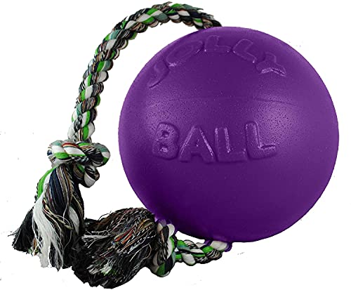 Jolly Pets (2 Pack) Romp-n-Roll 4.5 inch Purple | Rubber Ball with Rope for Dogs von Jolly Pets