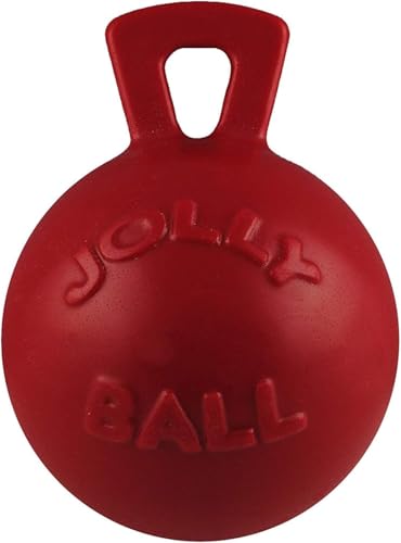 Jolly Pets Bounce and Play Ball Hundespielzeug, mittelgroß, Pink Jolly Pets Bounce and Play Ball Hundespielzeug, mittelgroß, Pink von Jolly Pets