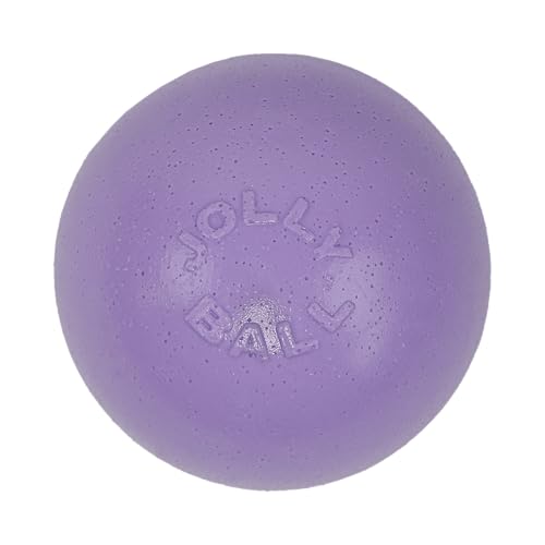 Jolly Pets Bounce-n-Play Hundespielzeugball, 15,2 cm/Medium, Hellviolett von Jolly Pets