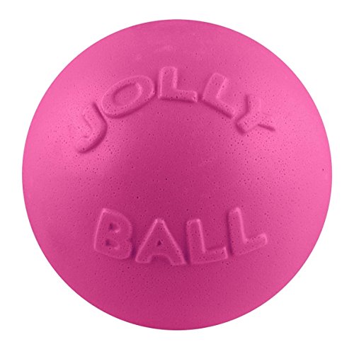 Jolly Pets Bounce-n-Play Jolly Ball (20cm) (Pink) von Jolly Pets