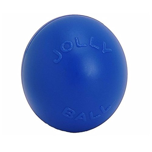 Jolly Pets Hundespielzeug Push-n-Play, 25 cm, Blau von Jolly Pets