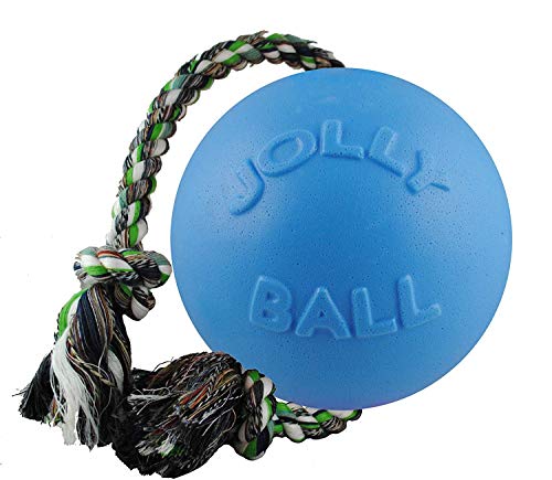 Jolly Pets JOLL049B Hundespielzeug - Ball Romp-n-Roll, 10 cm, hellblau von Jolly Pets