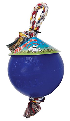 Jolly Pets JOLL049F Hundespielzeug - Ball Romp-n-Roll, 10 cm, blau von Jolly Pets