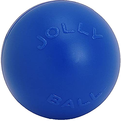 Jolly Pets (2 Pack) Push-N-Play Ball Blue 6 inch Hard Plastic Chew Toy for Dogs von Jolly Pets
